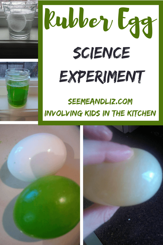 Involving kids in the kitchen through science