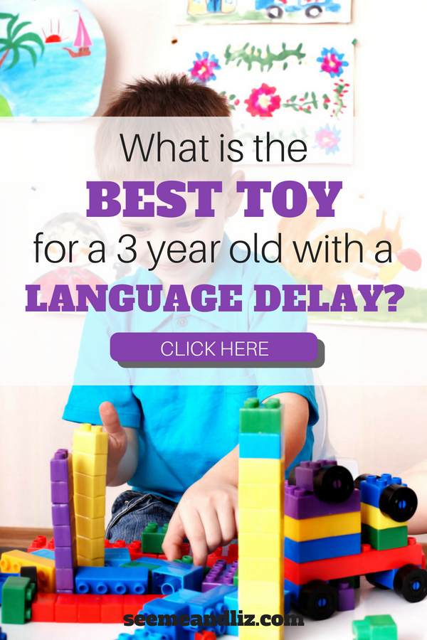 toys for 3 year old with speech delay