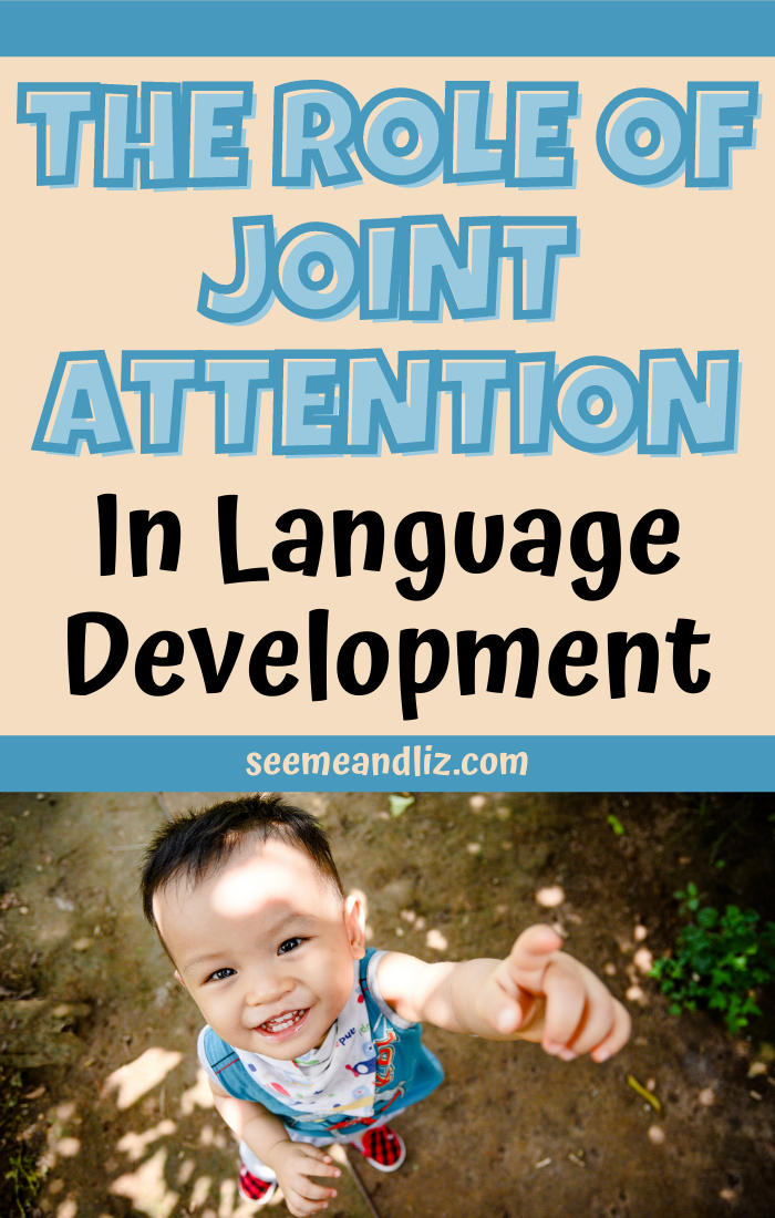 What is joint attention